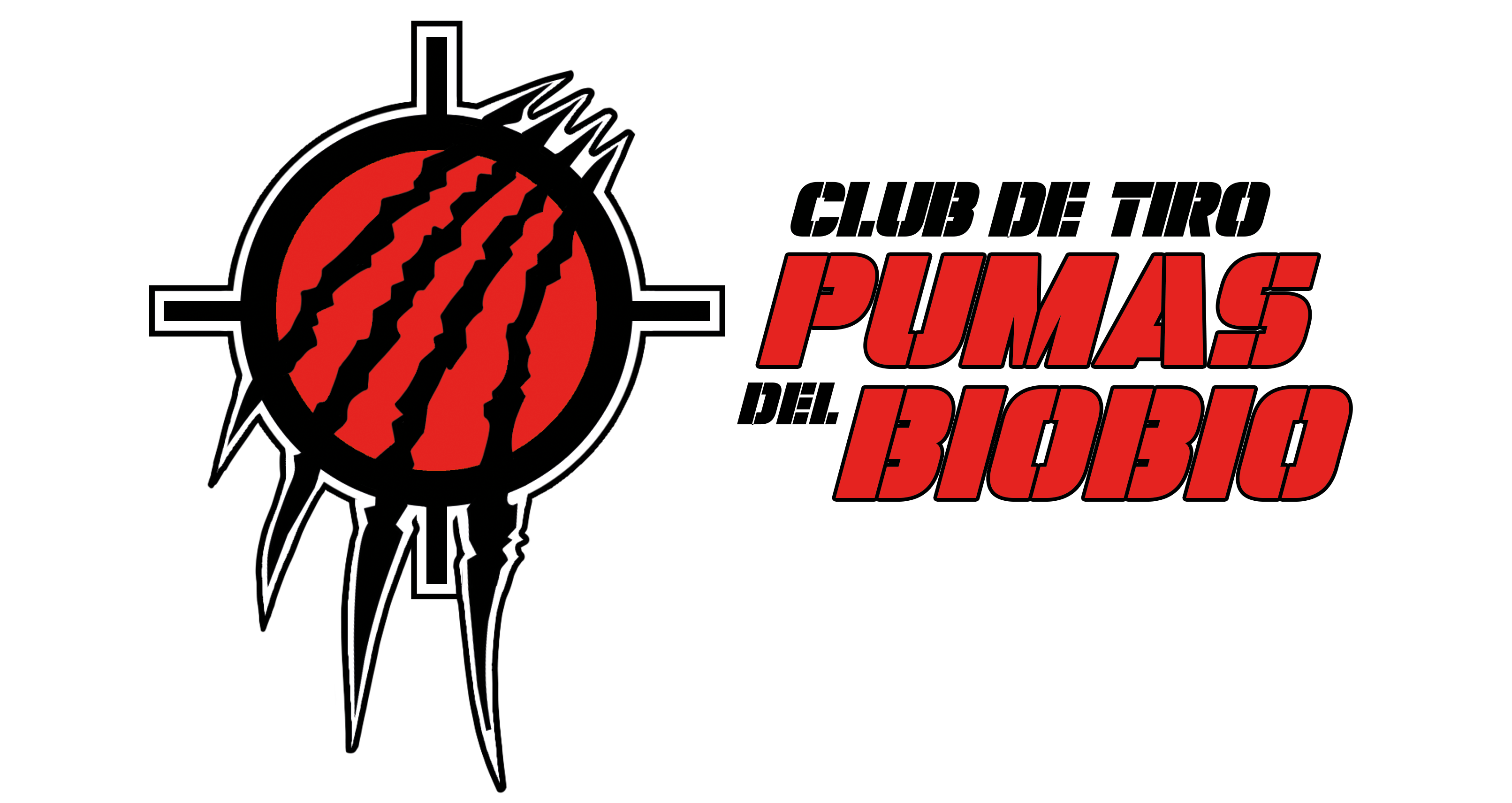 Pumas Bíobio